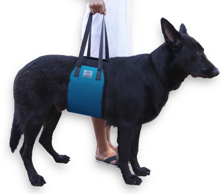 Safest Dog Harness for a Senior Dog Blue Dog Lift Support Harness