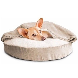 Dog Bed Feature
