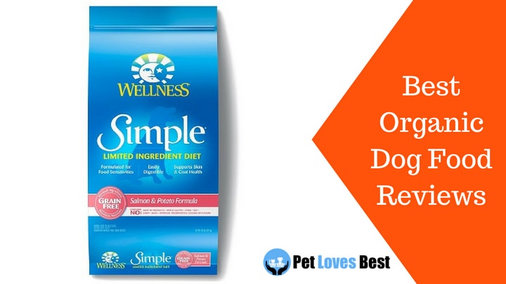 Featured Image Best Organic Dog Food Reviews