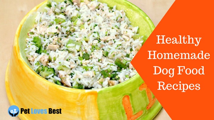 Featured Image Healthy Homemade Dog Food Recipes