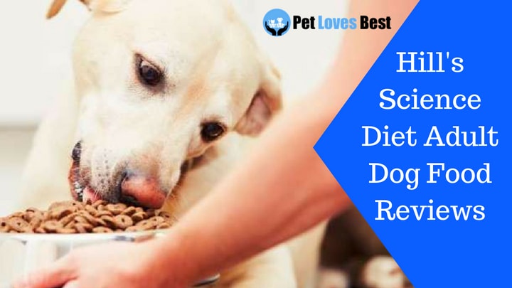 Featured Image Hill's Science Diet Adult Dog Food Reviews