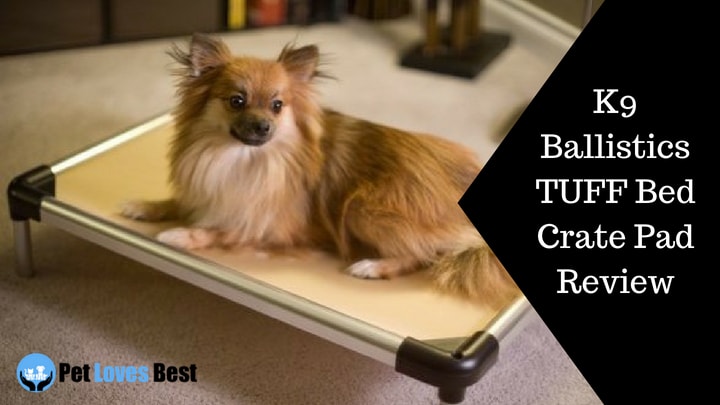 K9 Ballistics TUFF Bed Crate Pad For Dogs (Review)