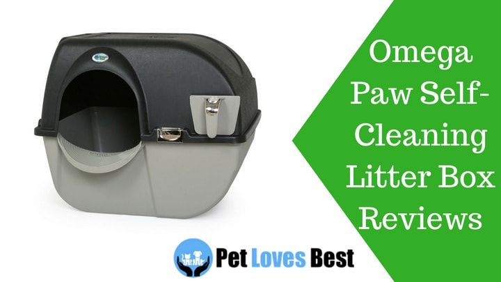 Featured Image Omega Paw Self Cleaning Litter Box Reviews