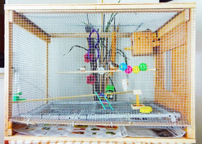 decorated-cage