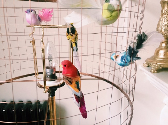 multiple-birds-inside-cage