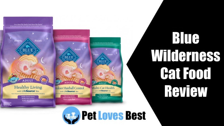 Featured Image Blue Wilderness Cat Food Review