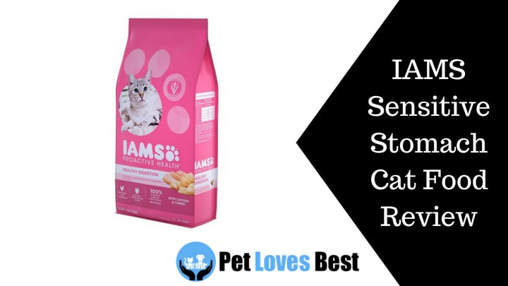 Featured Image IAMS Sensitive Stomach Cat Food Review
