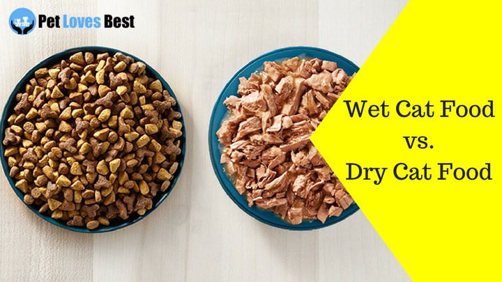Featured Image Wet Cat Food vs. Dry Cat Food