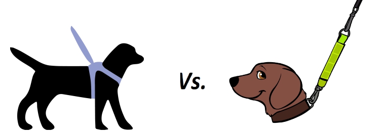 Collar Vs. Harness for Dogs