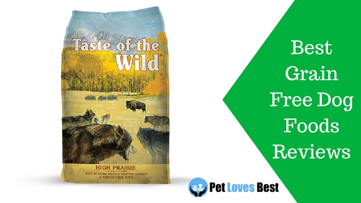 Featured Image Best Grain Free Dog Foods Review