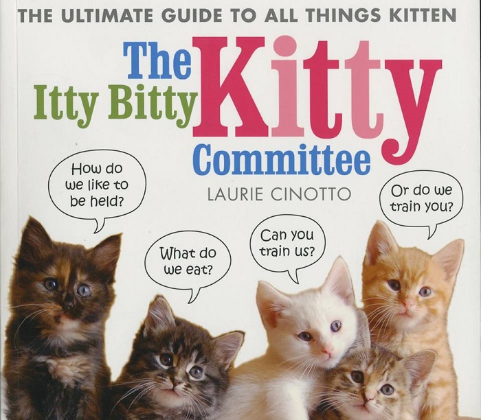 The Itty Bitty Kitty Committee