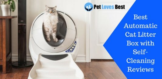 Featured Image Best Automatic Cat Litter Box with Self-Cleaning Reviews