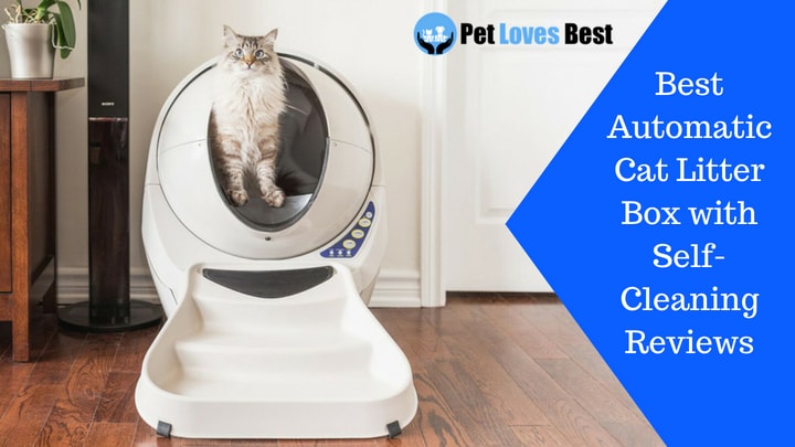Featured Image Best Automatic Cat Litter Box with Self-Cleaning Reviews