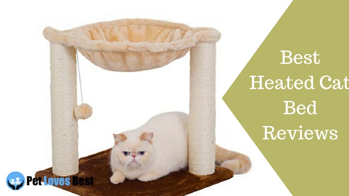 Featured Image Best Cat Bed Reviews