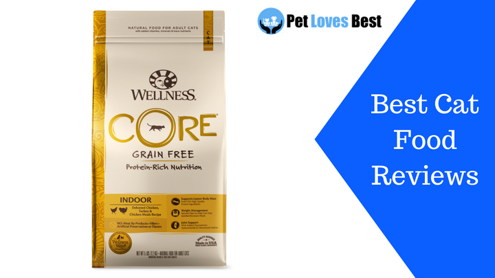 Featured Image Best Cat Food Reviews