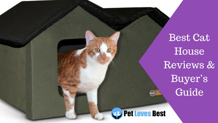 Featured Image Best Cat House Reviews & Buyer’s Guide