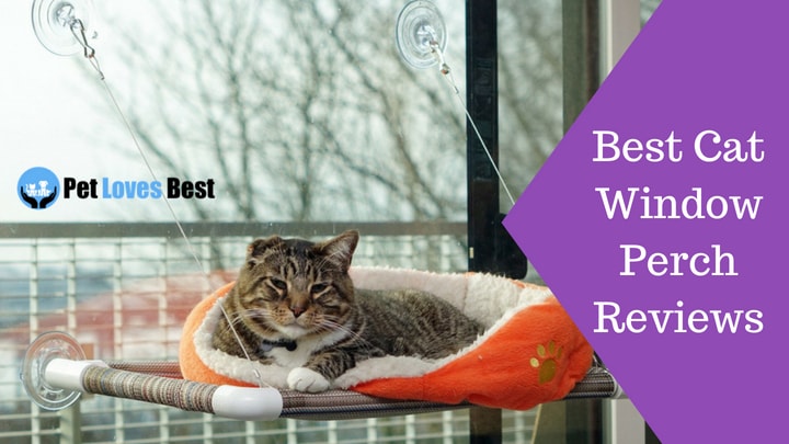 Featured Image Best Cat Window Perch Reviews