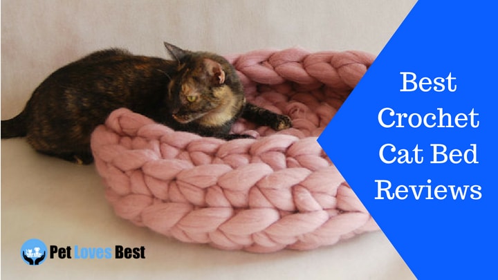 Featured Image Best Crochet Cat Bed Reviews