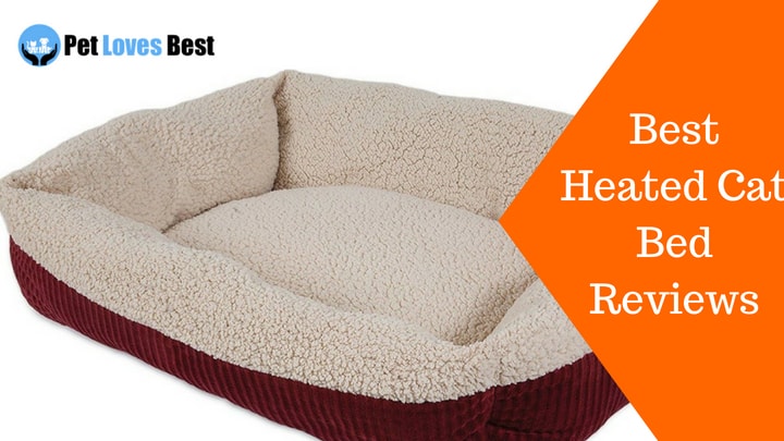 Featured Image Best Heated Cat Bed Reviews