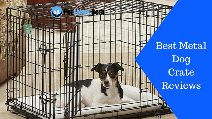 Featured Image Best Metal Dog Crate Reviews