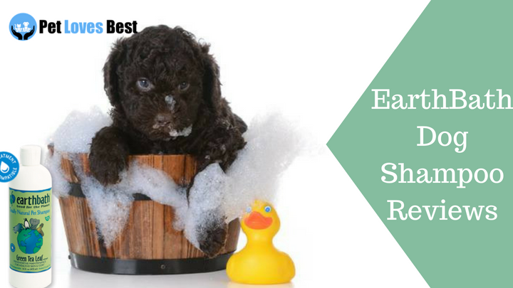 Featured Image EarthBath Dog Shampoo Reviews