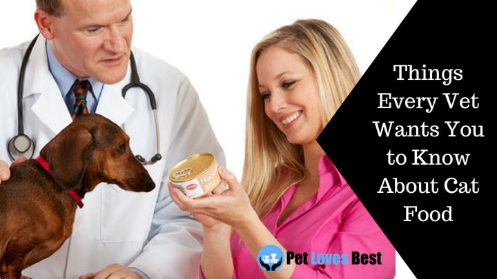 Featured Image Things Every Vet Wants You to Know About Cat Food