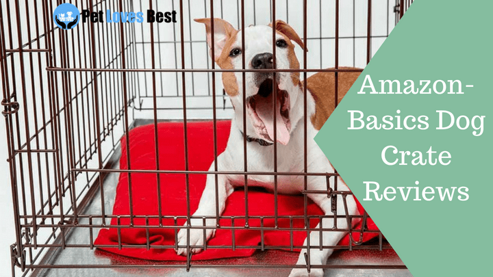 Featured Image AmazonBasics Dog Crate Reviews