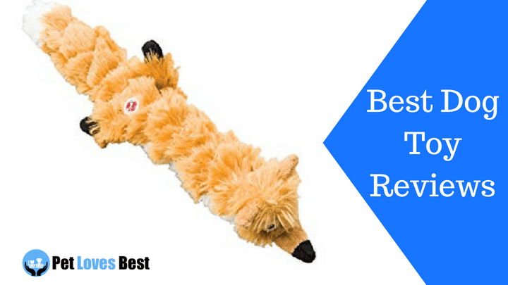Featured Image Best Dog Toy Reviews