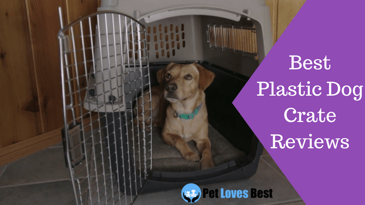 Featured Image Best Plastic Dog Crate Reviews