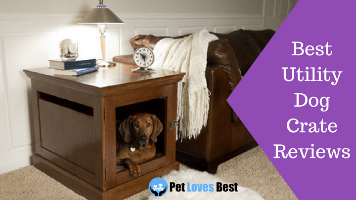 Featured Image Best Utility Dog Crate Reviews