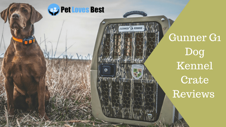Featured Image Gunner G1 Dog Kennel Crate Reviews