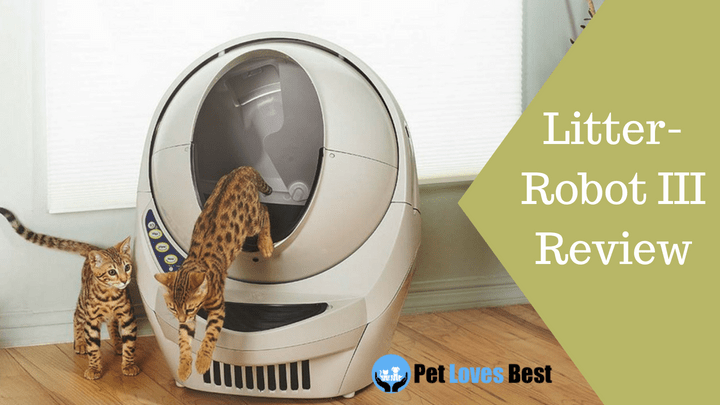 Featured Image Litter-Robot III Review