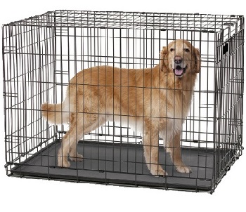 medium sized dog crate
