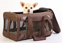 airline approved soft sided dog crate