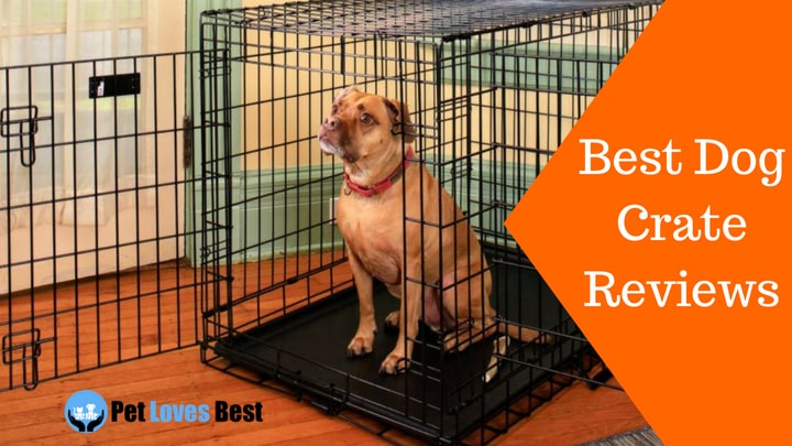 Featured Image Best Dog Crate Reviews