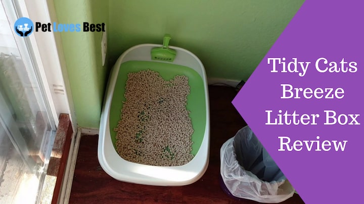 Featured Image Tidy Cats Breeze Litter Box Review