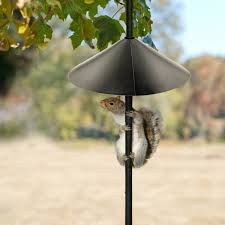 anti squirrel bird feeder