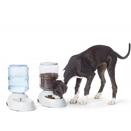 AmazonBasics Pet Feeder and Water Drinker Bundle