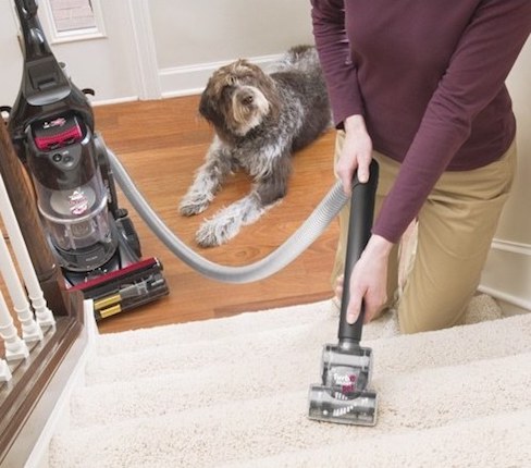 Do I need a Vacuum for Dealing Pet Hairs Vacuum for Pet Hair