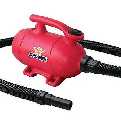 XPOWER B 2 Pro at home pet dryer and vacuum
