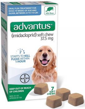 Flea and Tick Pills for Dogs