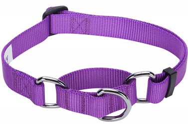 Blueberry Pet Classic Martingale Dog Collar