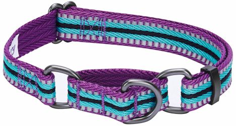 Blueberry Pet Multi-Colored Stripe - 3M Reflective