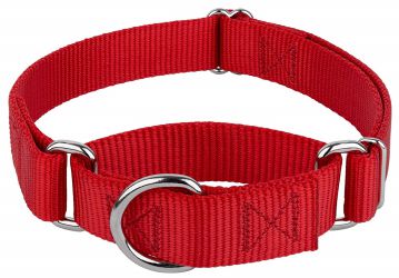 Country Brook Design Martingale Nylon Dog Collar