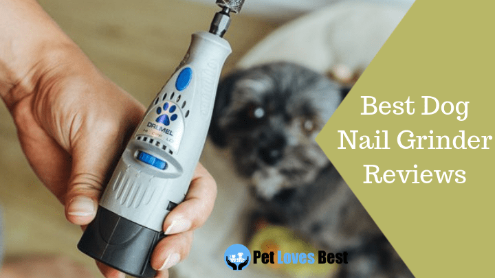 Featured Image Best Dog Nail Grinder Reviews