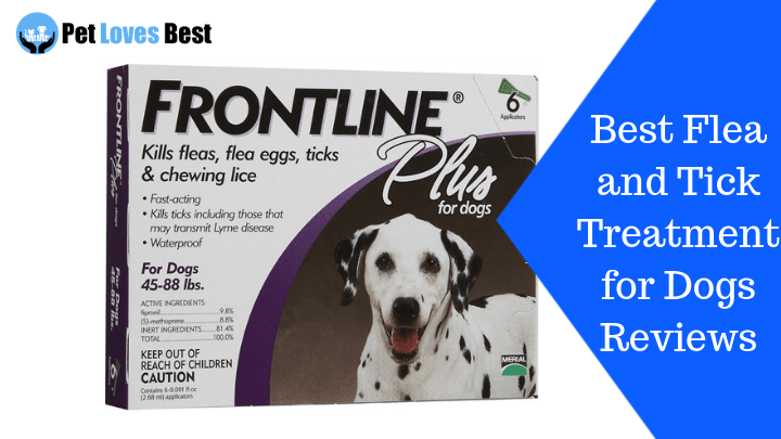 Featured Image Best Flea and Tick Treatment for Dogs Reviews