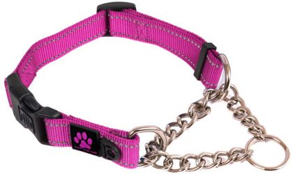 Max and Neo Chain Martingale Dog Collar