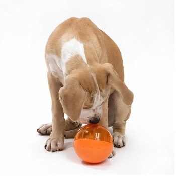 Our Pets IQ Treat Ball Interactive Food Dispensing Dog Toy