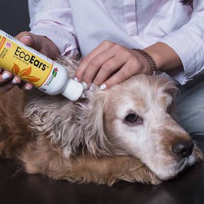 How To Use an EcoEars Dog Ear Cleaner