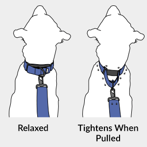 leather martingale collar